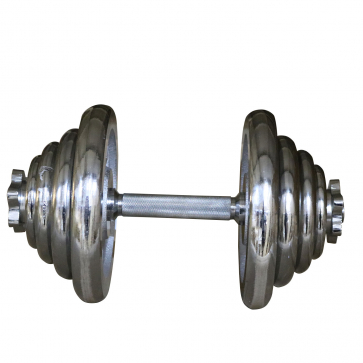 Диск хромированный DFC WP031-26-20 кг - 2